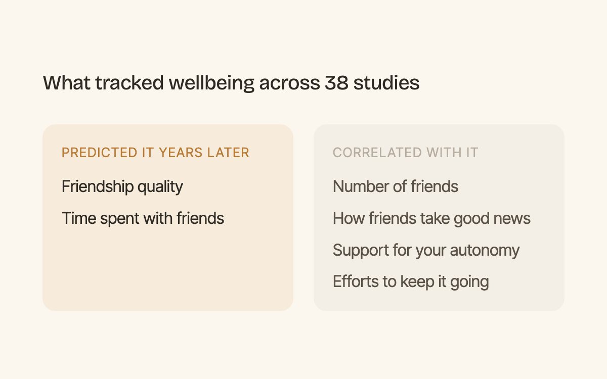 Figure: Friendship quality and time spent with friends predicted wellbeing years later. The number of friends only correlated with it.