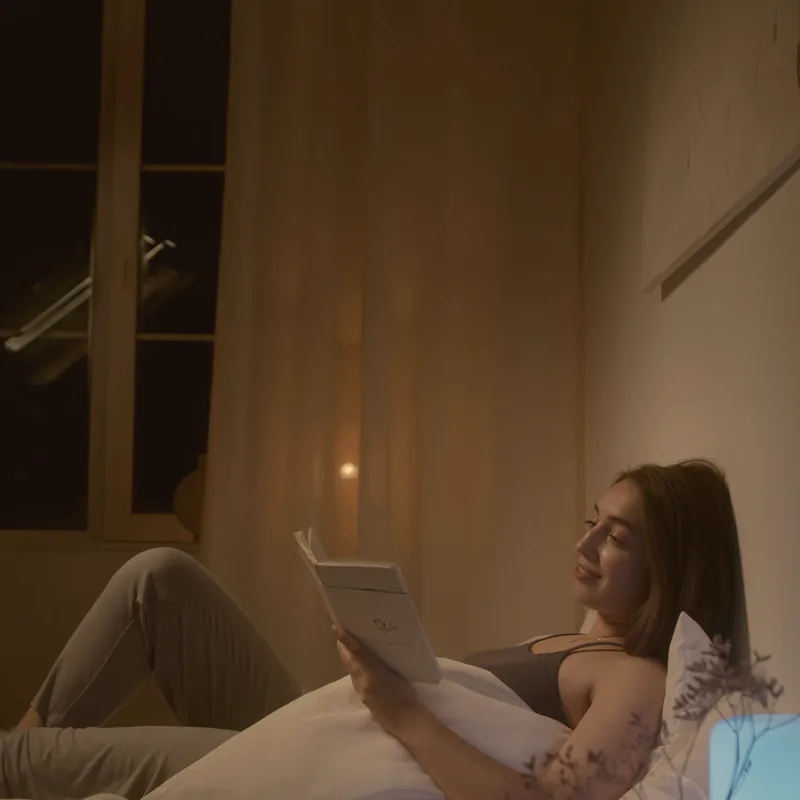 Someone reading, hands holding an open book.